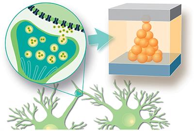 A high throughput generative vector autoregression model for stochastic synapses